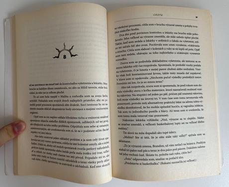 Kniha cesta brandon bays za 6.5eura,