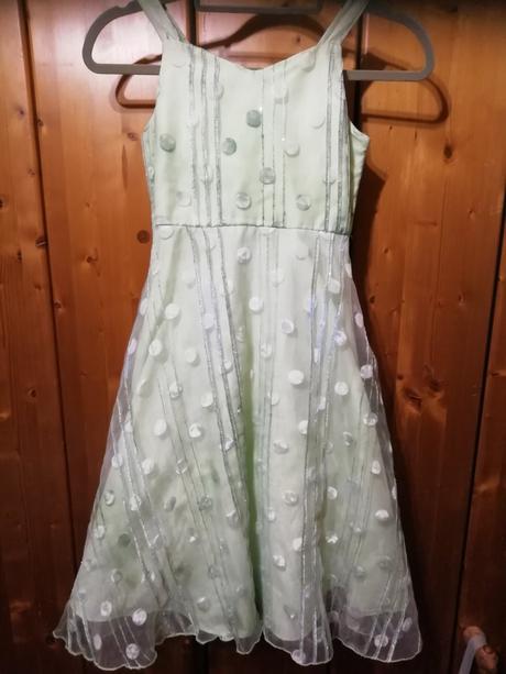 Bodkované satičky, 134