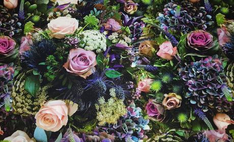 Jednovrstvový set, 36 - xs