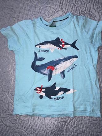 Tričko 116, pepco,116