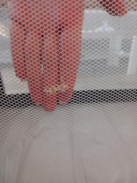 Cestovná postieľka, šírka (cm): 60,dĺžka (cm): 120