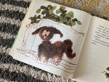 Jahniatko v batohu-prvé vyd.1984,