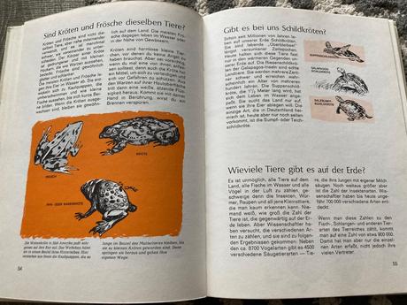 Antworten und noch mehr antworten (1972),