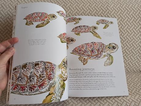 Helen aphornsiri - beneath the waves, 