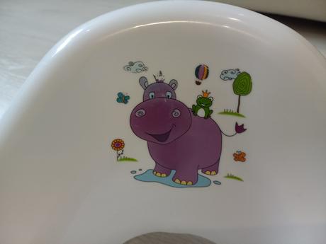 Redukcia na toaletu, 