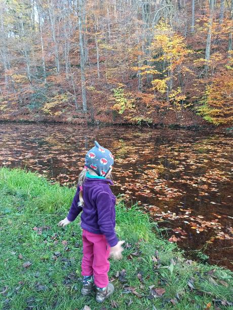 Čiapka prechodná, 104