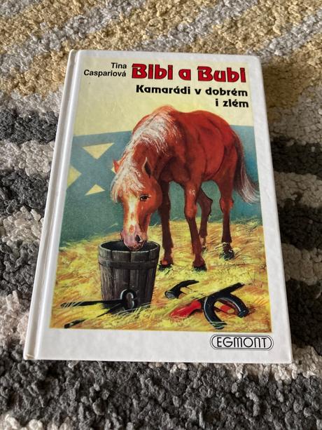Bibi a bubi. kamarádi v dobrém i zlém (1993),