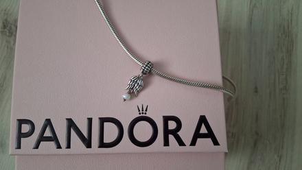 Koralka pandora, pandora