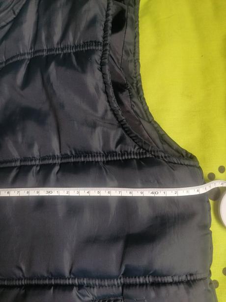 Vesta prechodna, 164