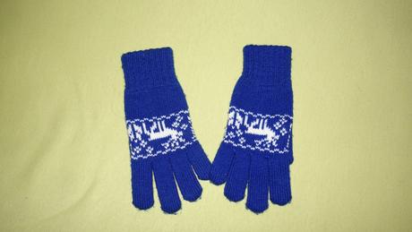 Nova suprava salika a rukavic i.tran, 122