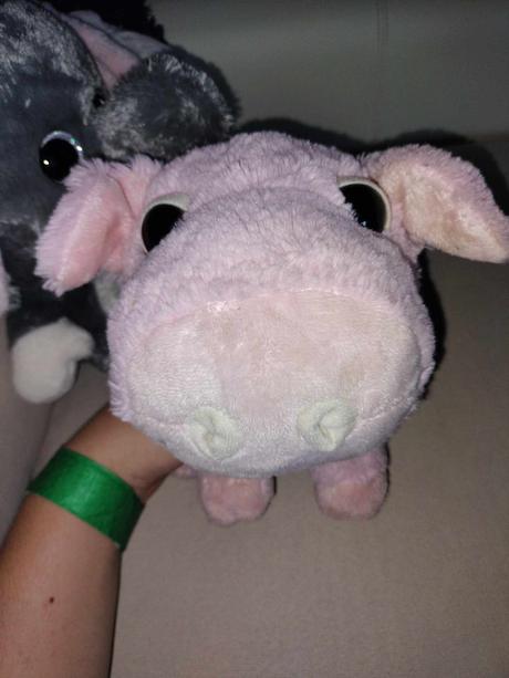 Big head zvieratká slon, prasa, psík, 