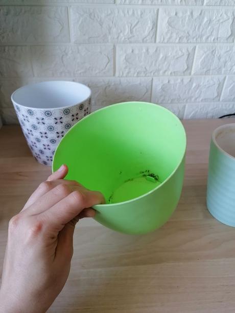 Kvetináč / kochlík na izbové rastliny, 