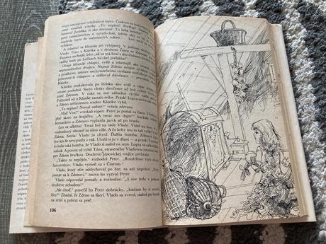 Tajomstvo prúteného košíka (1980),