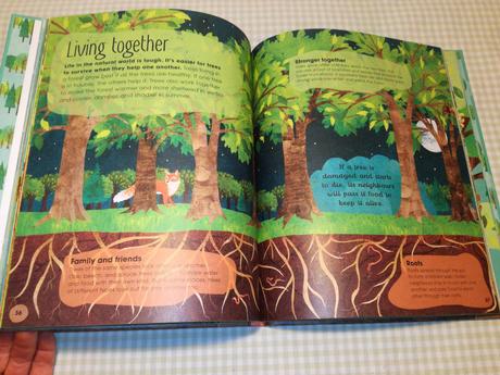 Jen green the magic & mystery of trees  nau21, 