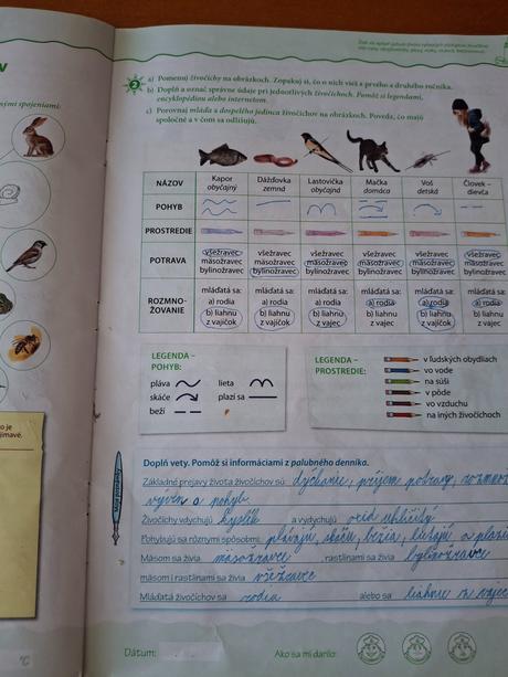 Pracovné zošity a učebnice vypracované,