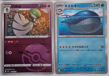 Pokémon karty,