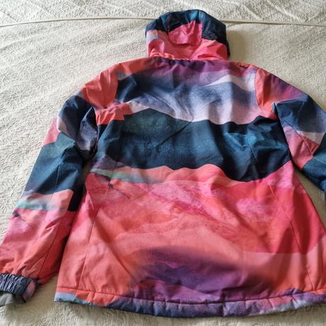 Lyžiarska bunda protest, 38