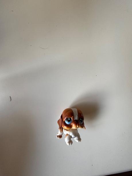 Petshop, 