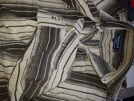 Pánska paskovana menžestrová košeľa, l