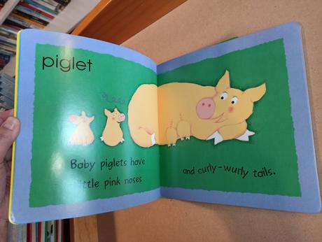 Abc / baby animals - first letters / animals,