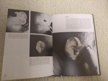 Retro - čakame dieťatko - 4 eur,