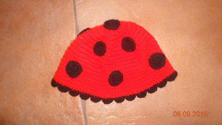 Lienkova ciapka, 104