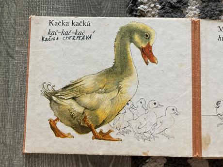 Medzi vtákmi leporelo (1987), 