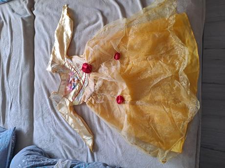 Karnevalovy kostým, 