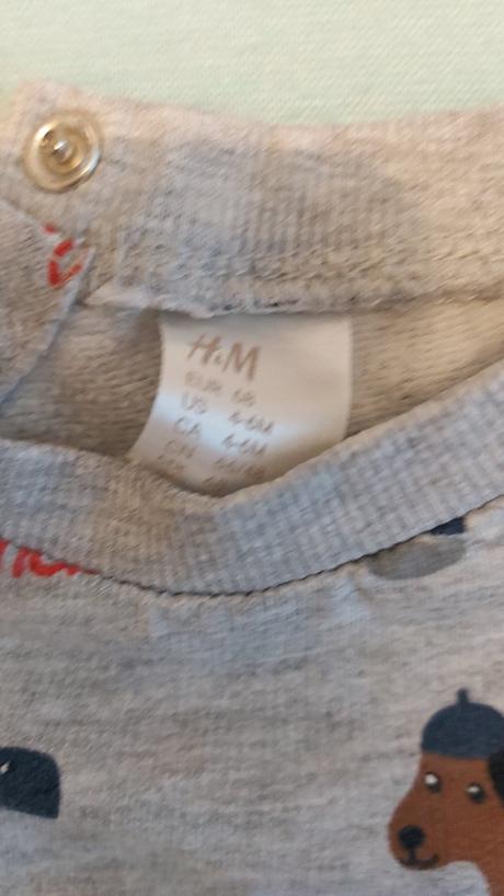 Mikina psy h&m 68, h&m,68