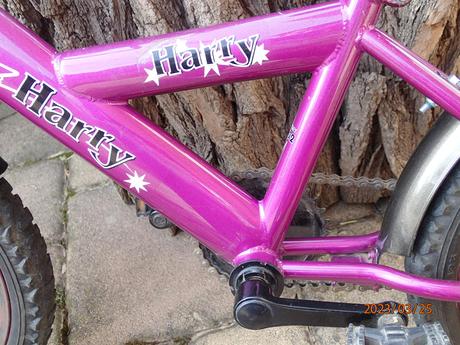 Detský bycikel, harry,16