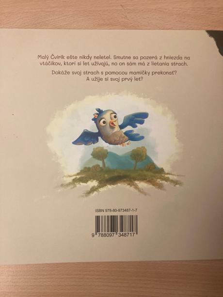 Čvirikov prvý let,