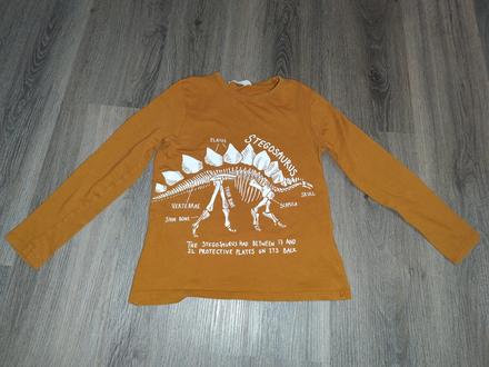 Tričko s dinosaurom, h&m,122