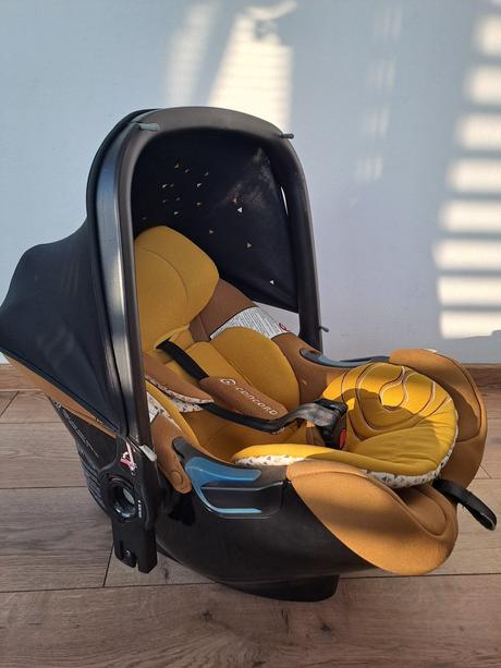 Concord vajicko, concord