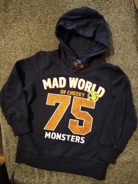 Mikina, dopodopo,110