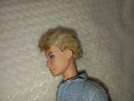 Barbie my scene chlapci ken, 