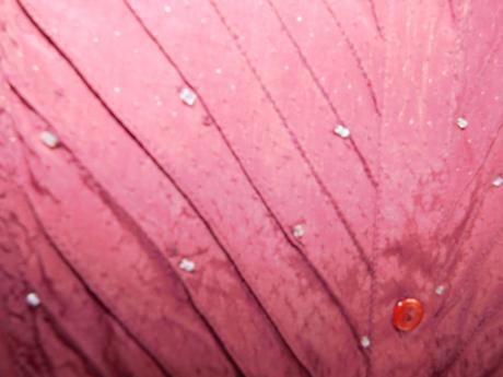 Pekna košelova bluzka, 54