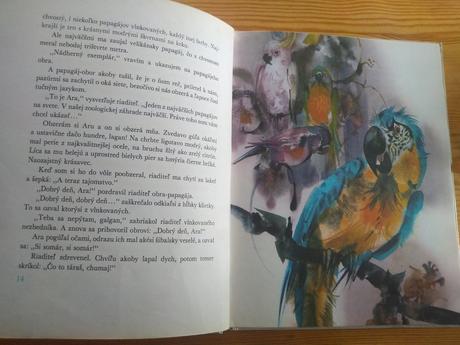 Ako som krstil medveďa rudo moric - 5eur,