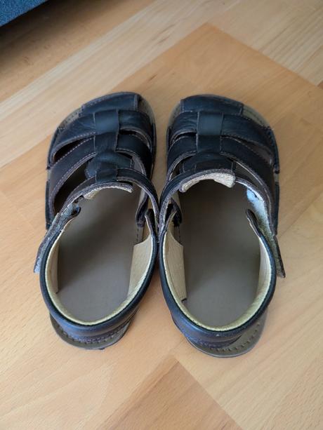 Tikki lasta 31, tikki,31