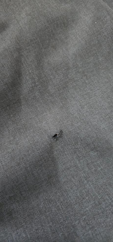 Oteplovacky v.152- 158, alpine pro,152