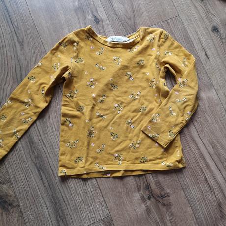 Horcicove tricko, h&m,110