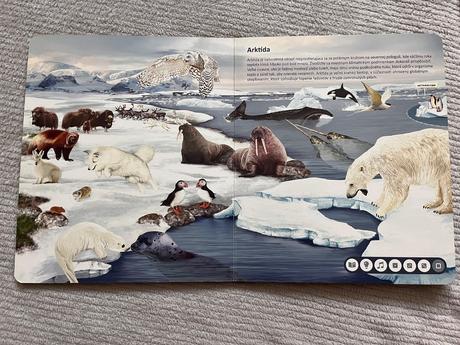 Kúzelné čítanie,