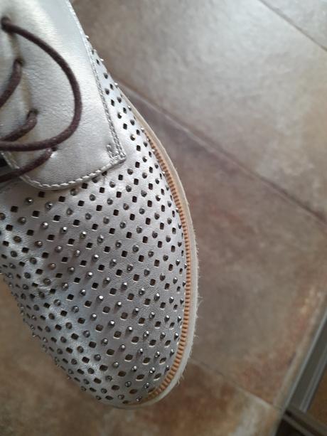 Poltopanky strieborne, 37