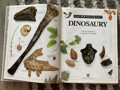 Dinosaury-prvé vyd.1991,