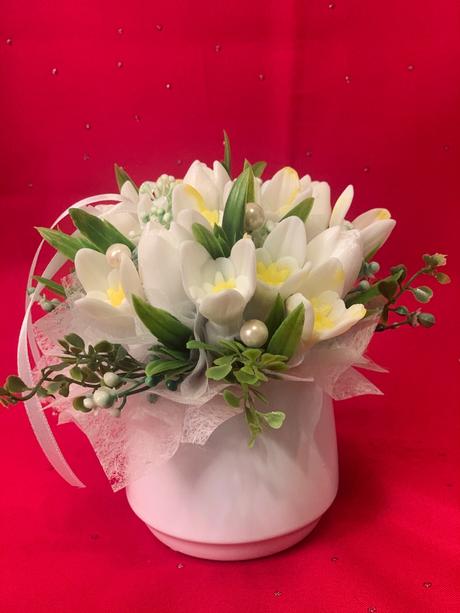 Mydlova kytica snežienky,