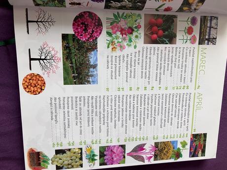 Rok v našej záhrade, 