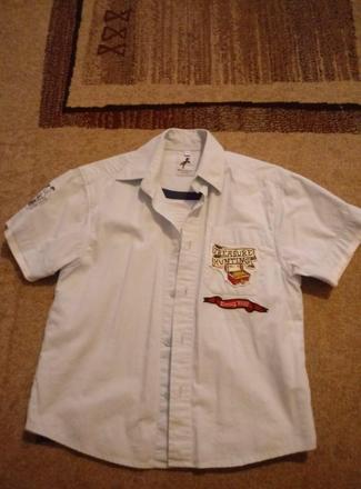 Košeľa, palomino,110