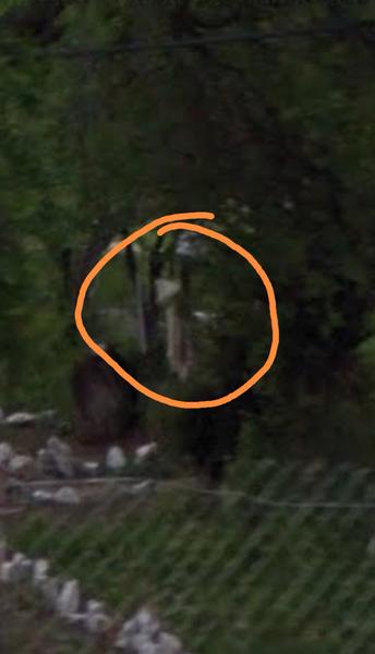 Čo vidíte na fotke?