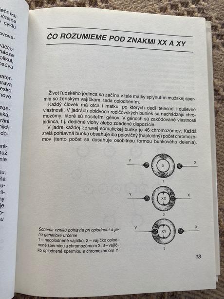 Xx a xy helena rozinajová o láske sexe manželstve,