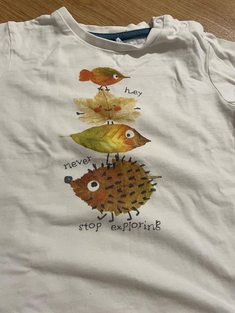 Tričko s jesenným motívom, 98