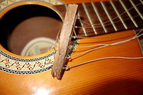 Darujem - utrhnutá kobylka, 